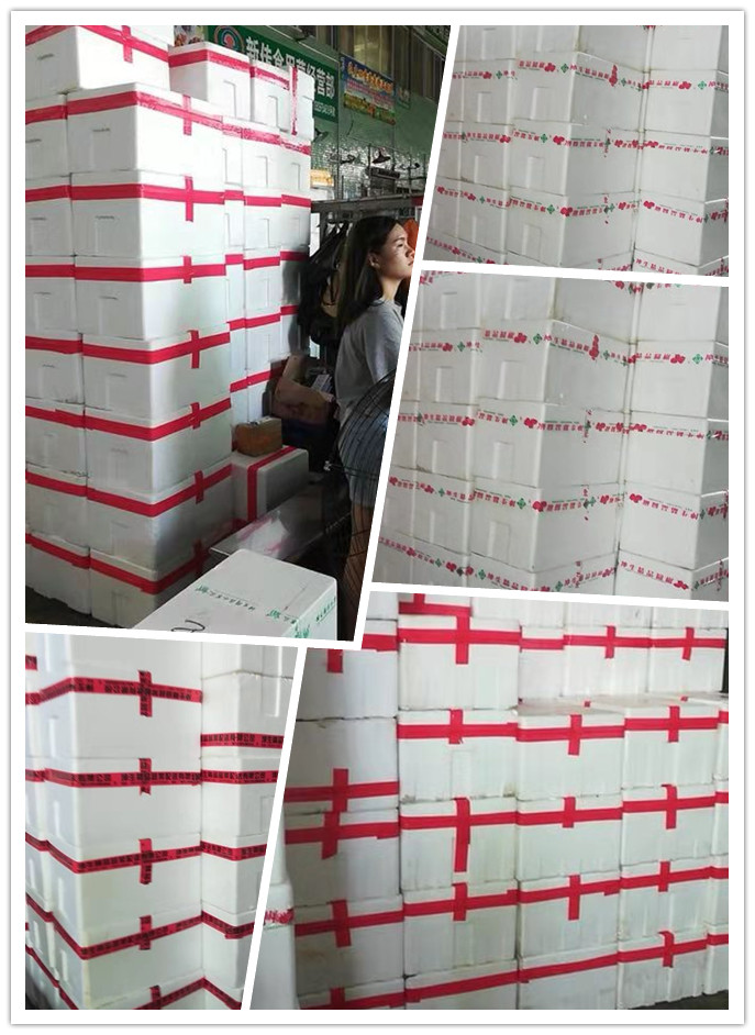 bti体育平台·(中国)官方网站