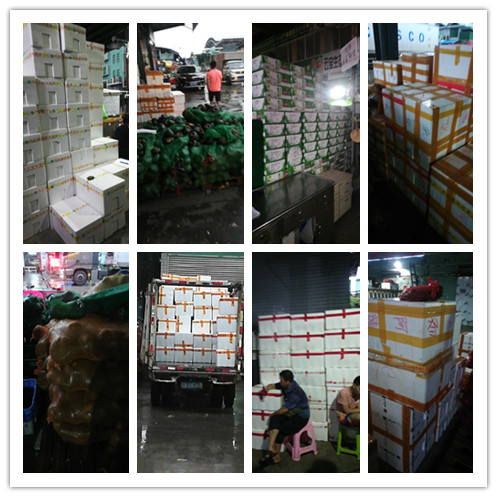 bti体育平台·(中国)官方网站