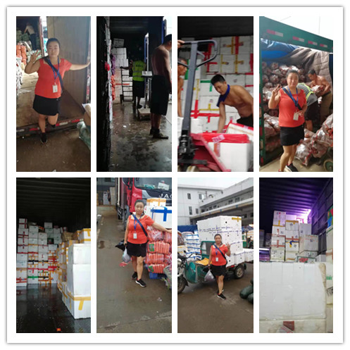 bti体育平台·(中国)官方网站