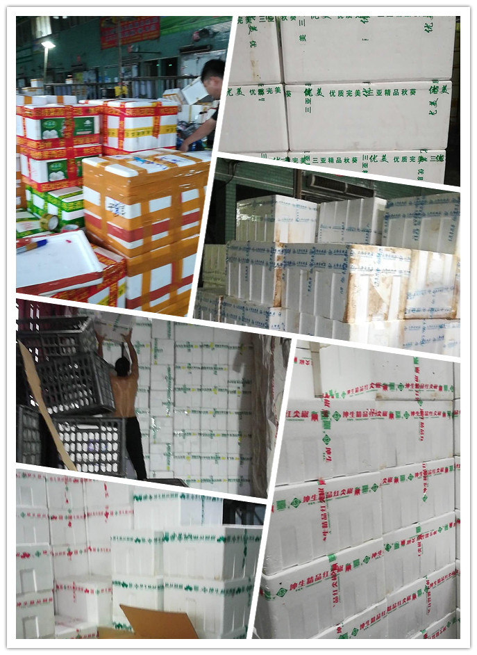 bti体育平台·(中国)官方网站