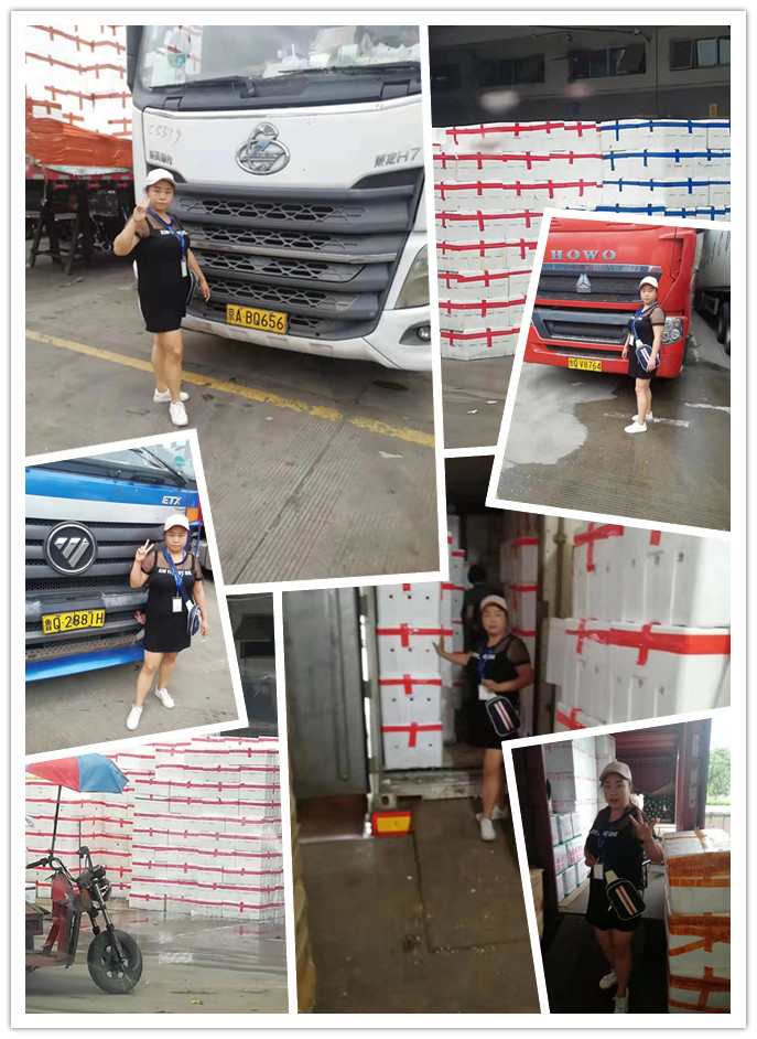 bti体育平台·(中国)官方网站