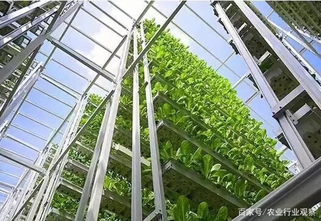 bti体育平台·(中国)官方网站