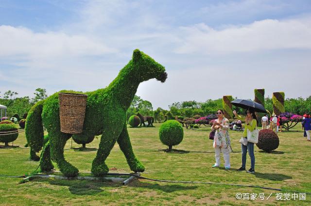 bti体育平台·(中国)官方网站