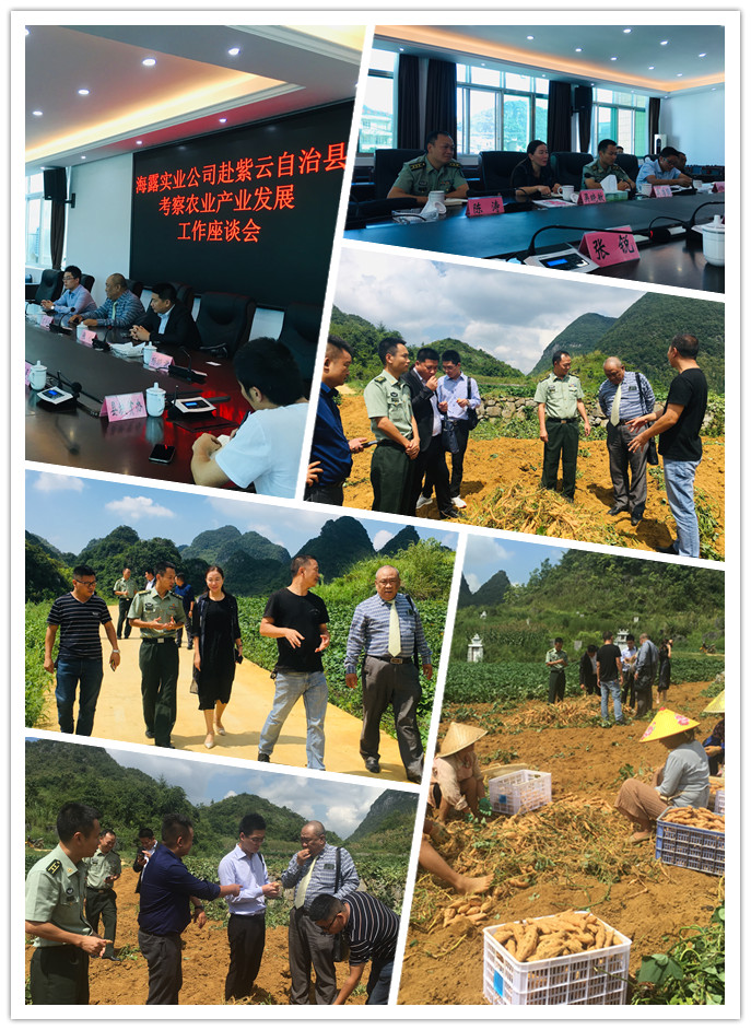 bti体育平台·(中国)官方网站