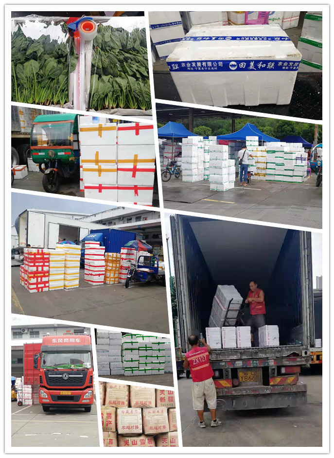 bti体育平台·(中国)官方网站