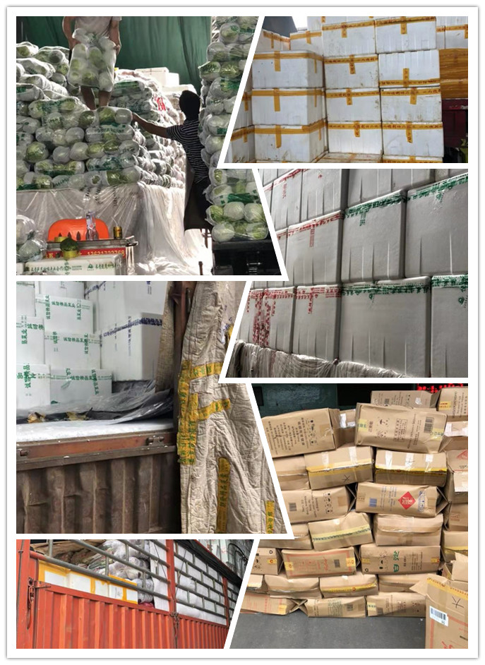 bti体育平台·(中国)官方网站