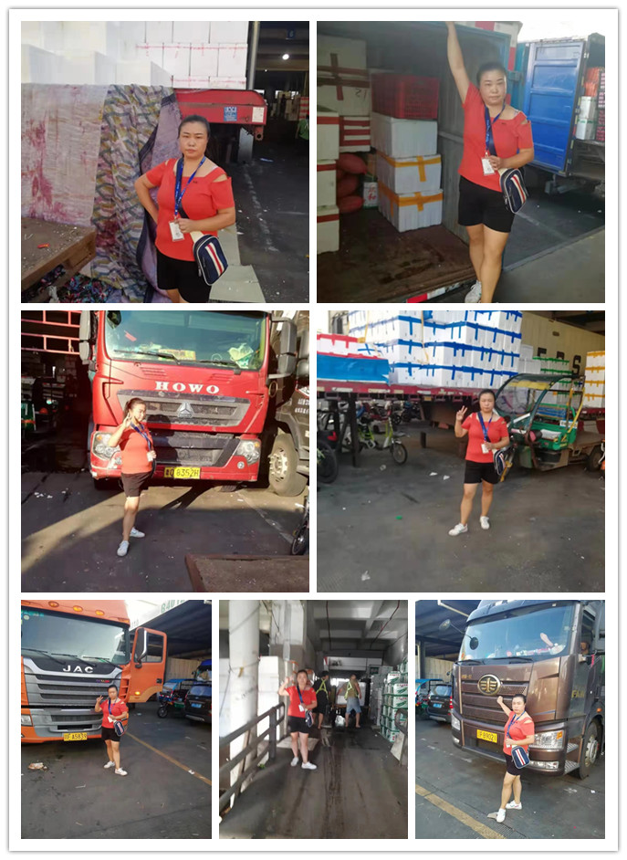 bti体育平台·(中国)官方网站