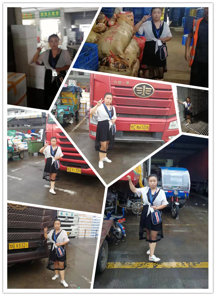 bti体育平台·(中国)官方网站