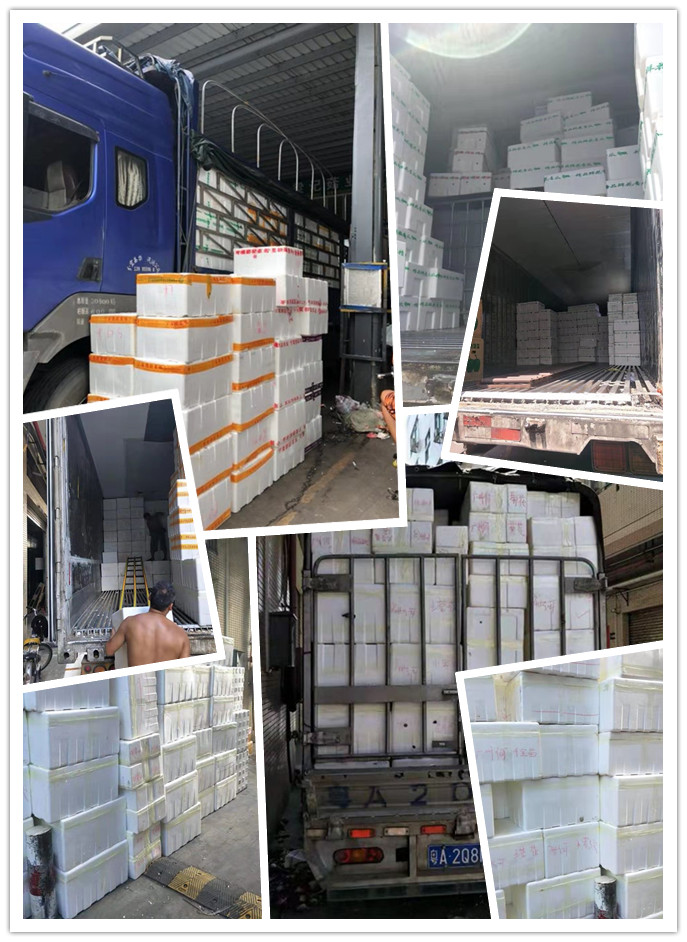 bti体育平台·(中国)官方网站