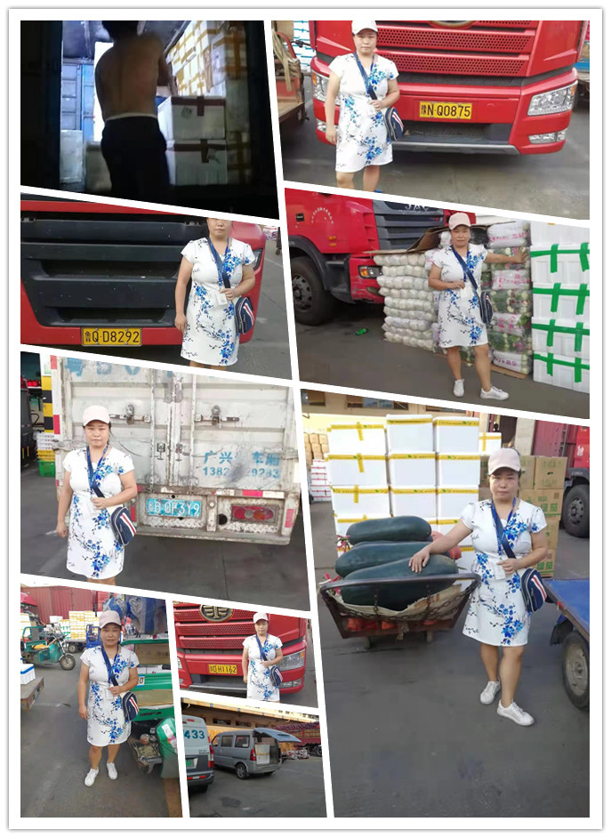 bti体育平台·(中国)官方网站