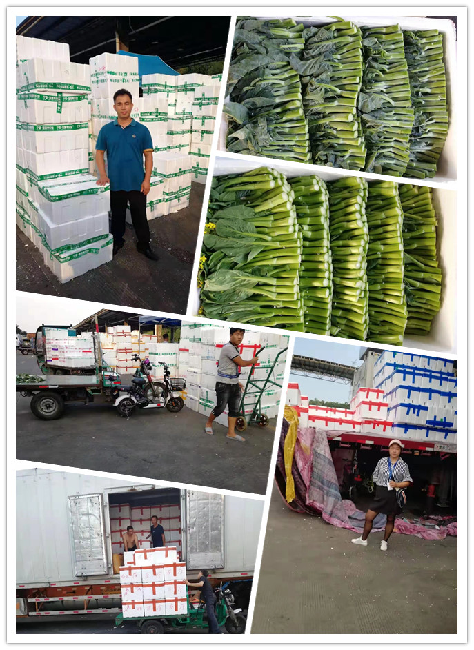 bti体育平台·(中国)官方网站