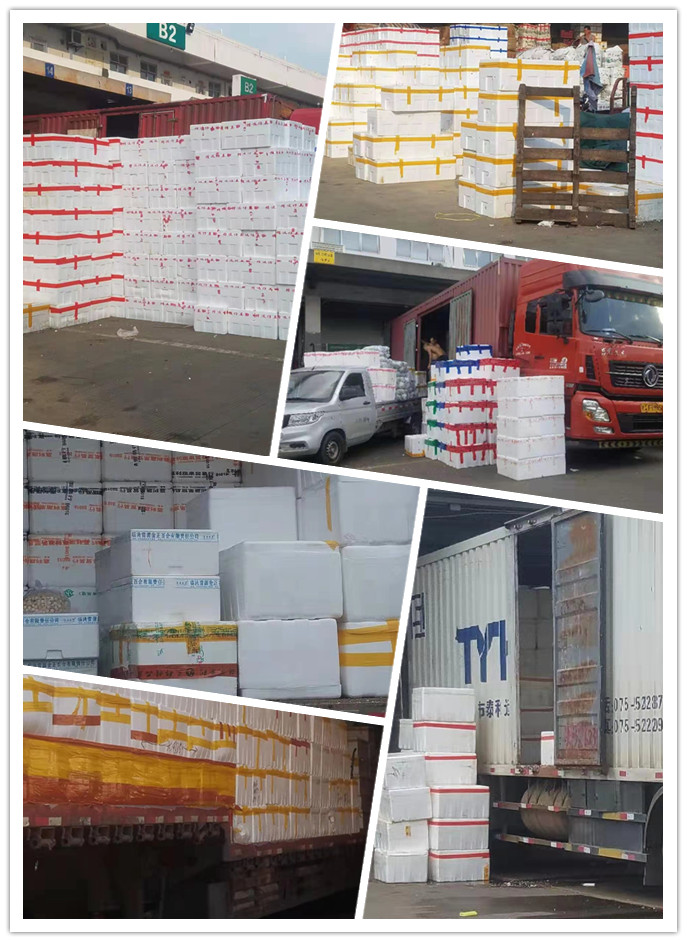 bti体育平台·(中国)官方网站