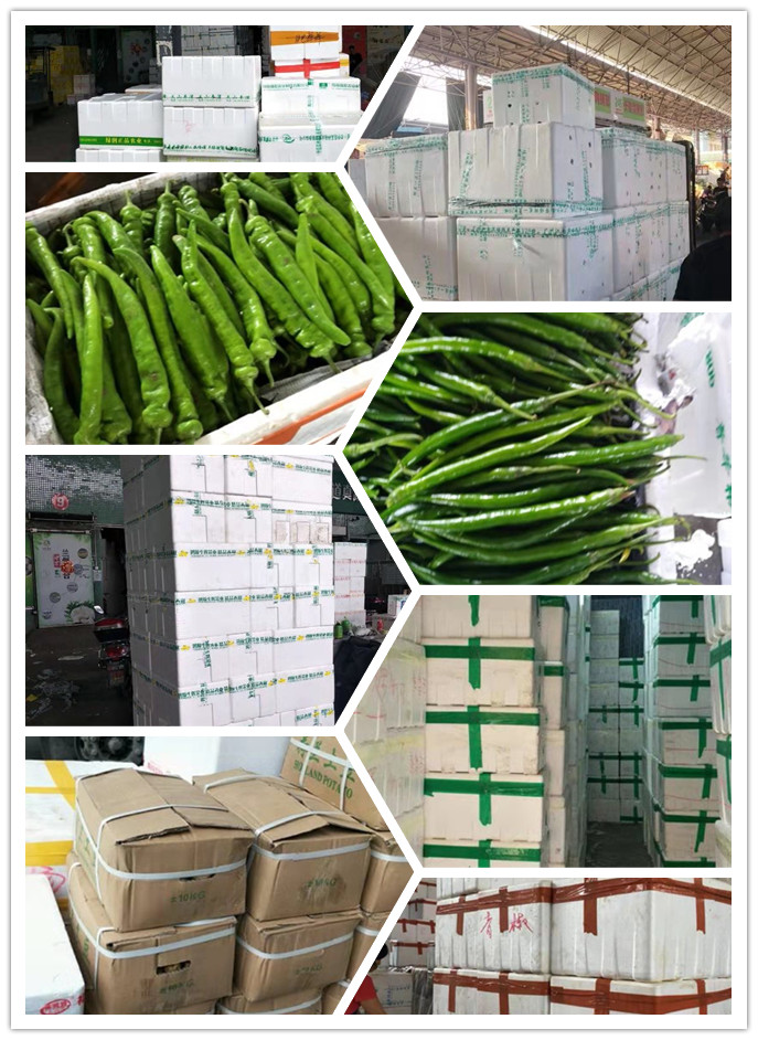 bti体育平台·(中国)官方网站