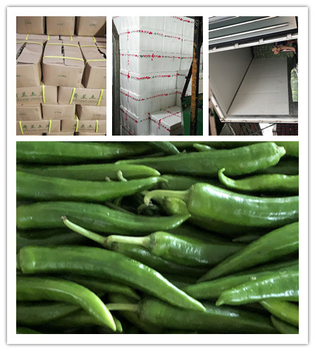 bti体育平台·(中国)官方网站