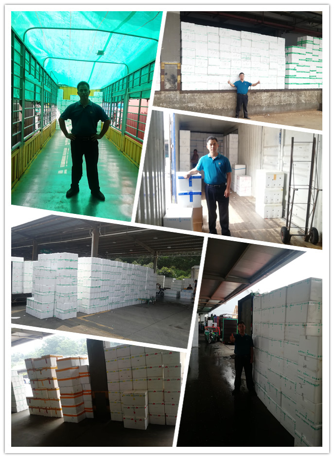 bti体育平台·(中国)官方网站