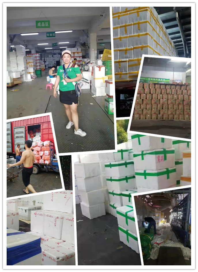 bti体育平台·(中国)官方网站