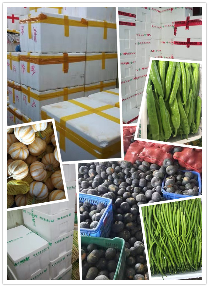 bti体育平台·(中国)官方网站