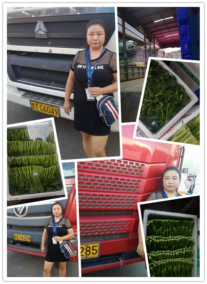 bti体育平台·(中国)官方网站