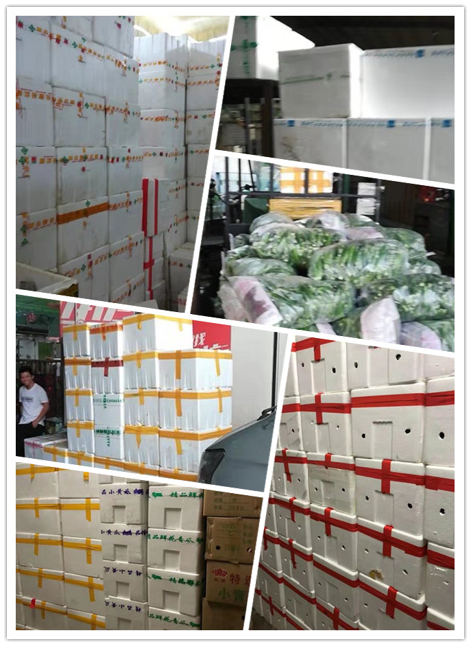 bti体育平台·(中国)官方网站