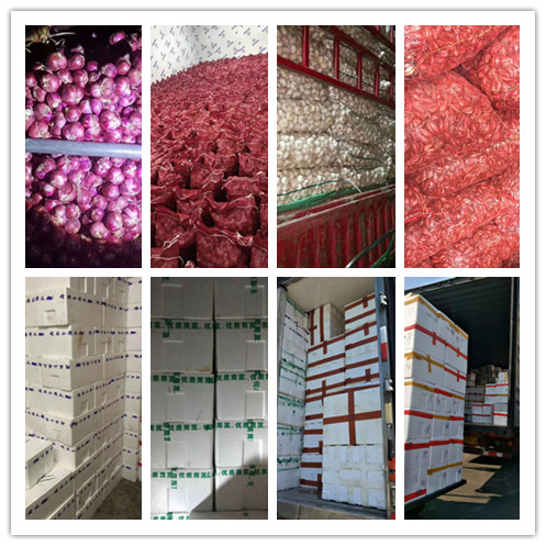 bti体育平台·(中国)官方网站