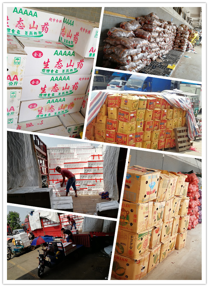 bti体育平台·(中国)官方网站