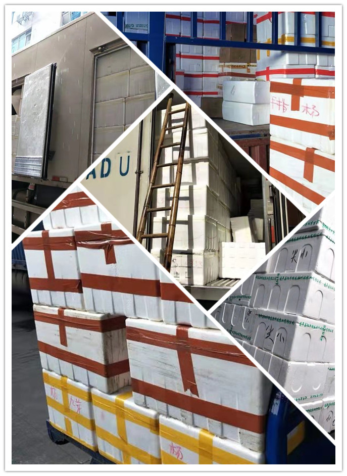 bti体育平台·(中国)官方网站