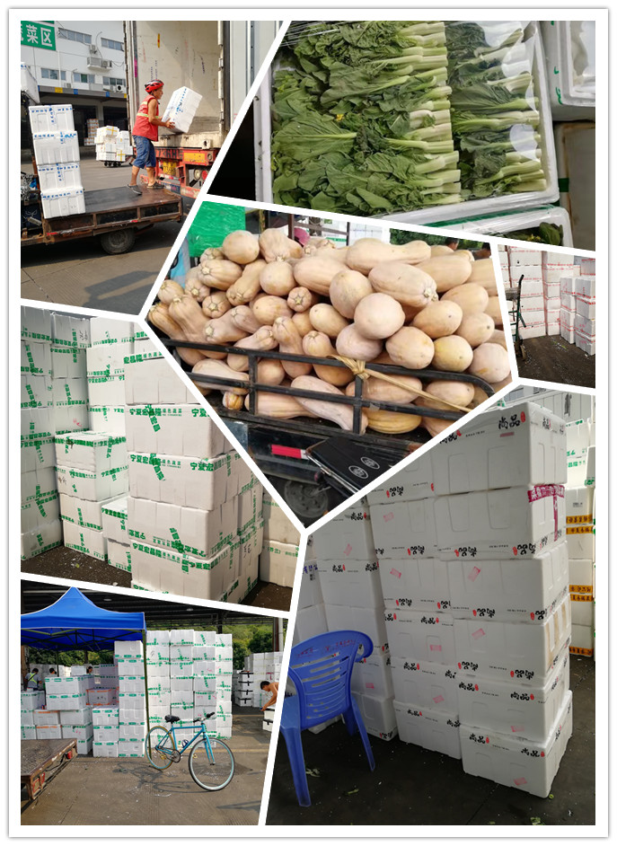 bti体育平台·(中国)官方网站