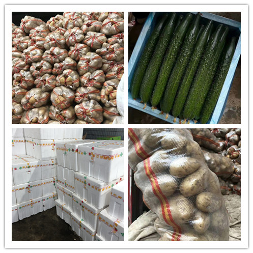 bti体育平台·(中国)官方网站