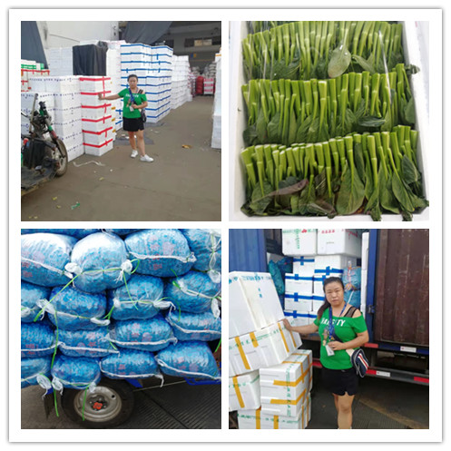 bti体育平台·(中国)官方网站