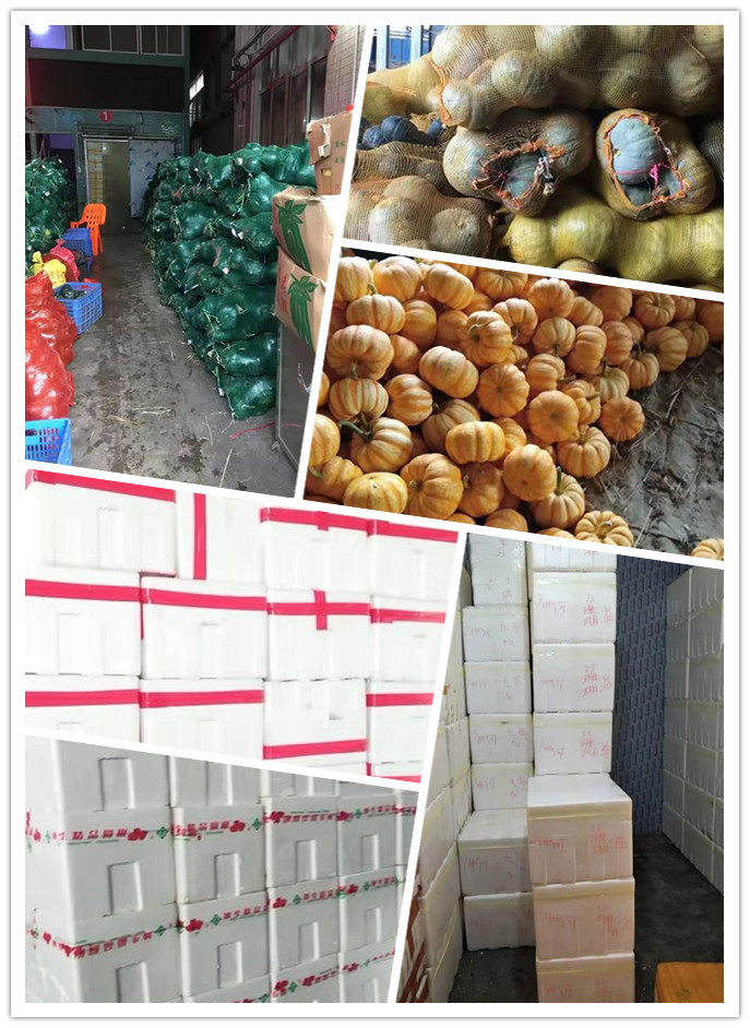 bti体育平台·(中国)官方网站