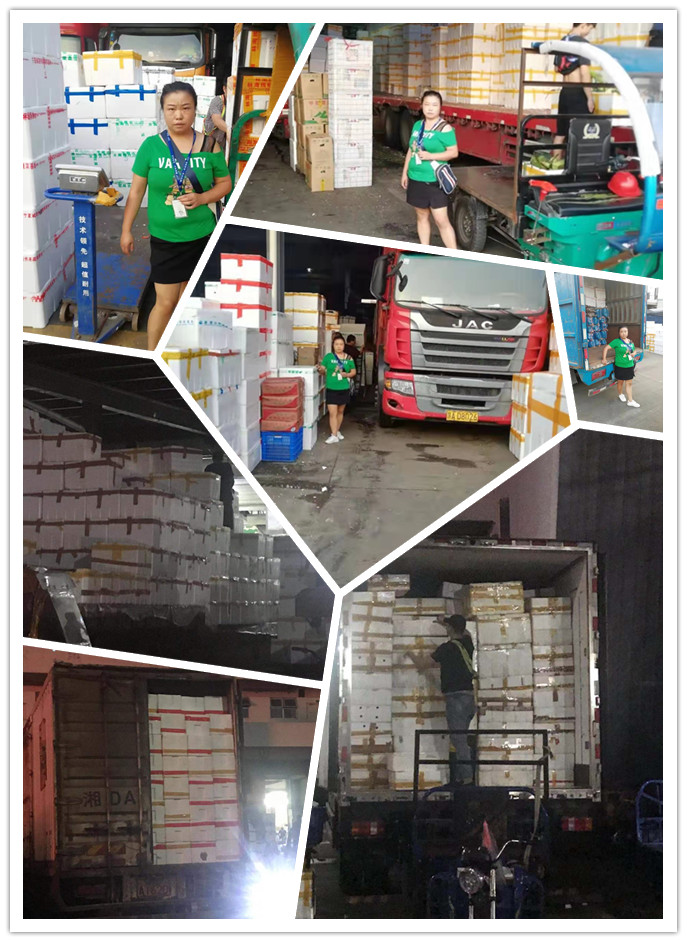 bti体育平台·(中国)官方网站