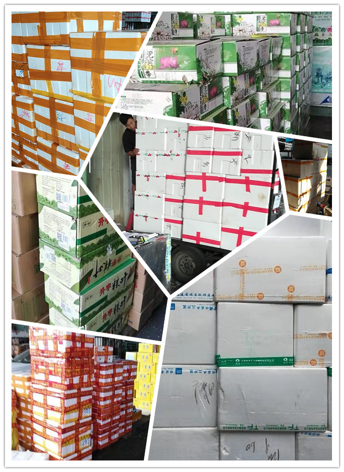 bti体育平台·(中国)官方网站