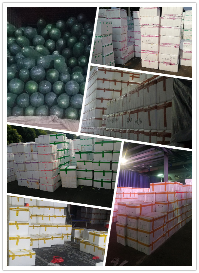 bti体育平台·(中国)官方网站