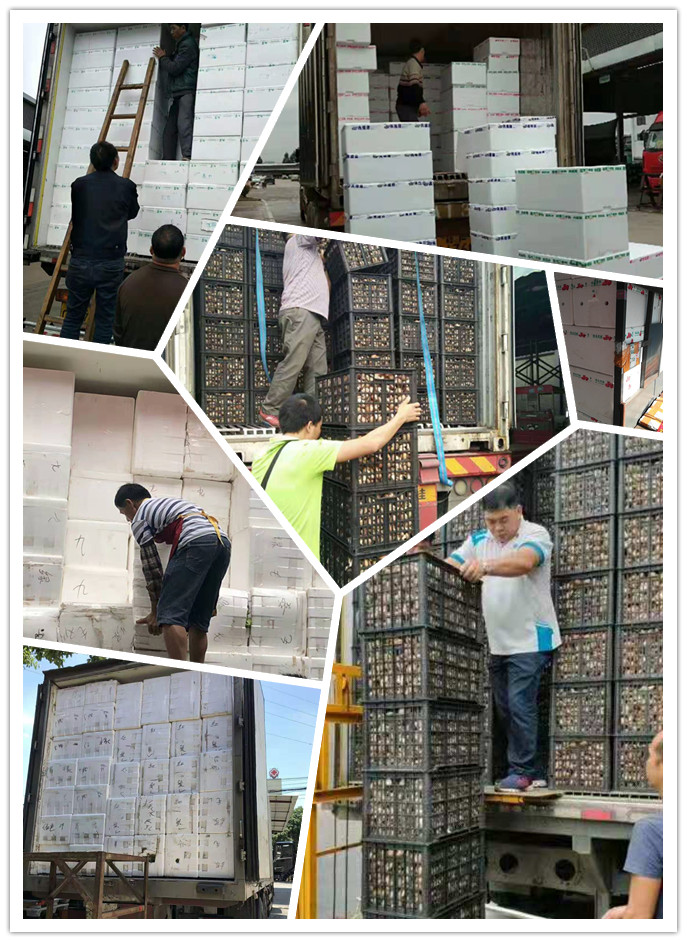 bti体育平台·(中国)官方网站