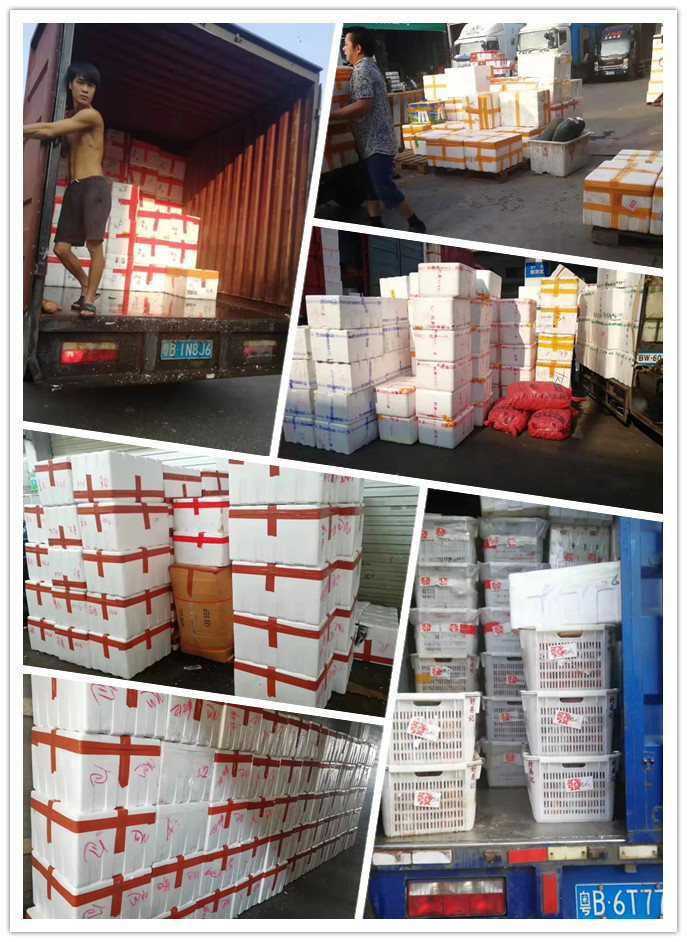 bti体育平台·(中国)官方网站