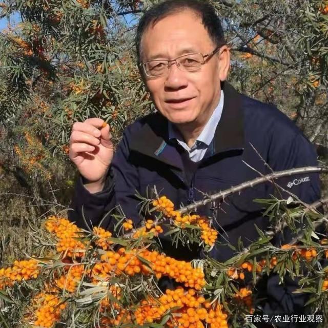 bti体育平台·(中国)官方网站