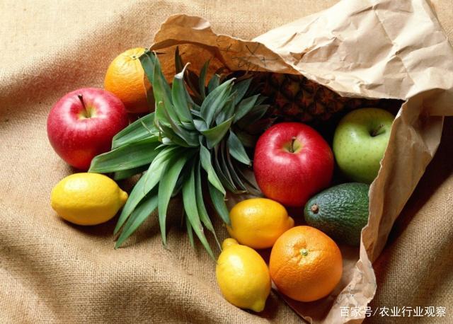 bti体育平台·(中国)官方网站