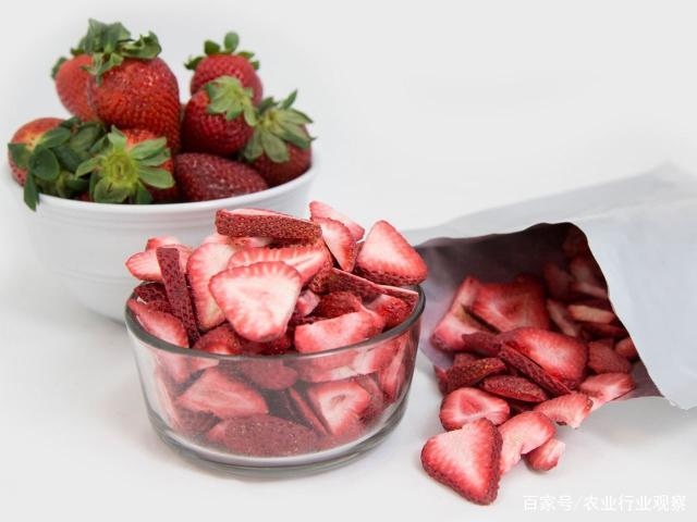 bti体育平台·(中国)官方网站