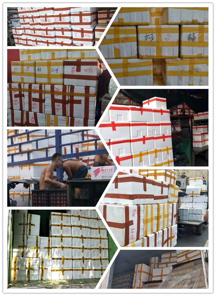 bti体育平台·(中国)官方网站