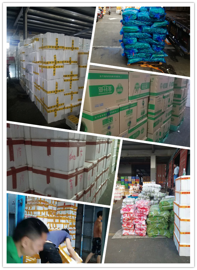 bti体育平台·(中国)官方网站