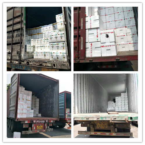 bti体育平台·(中国)官方网站