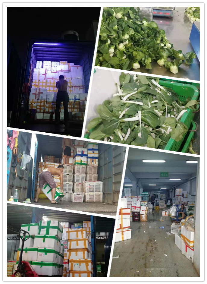 bti体育平台·(中国)官方网站