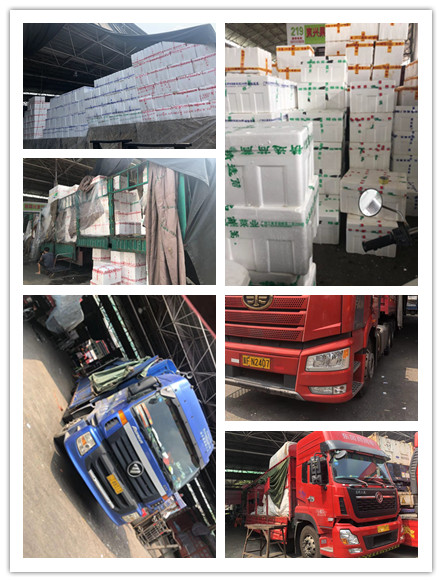 bti体育平台·(中国)官方网站