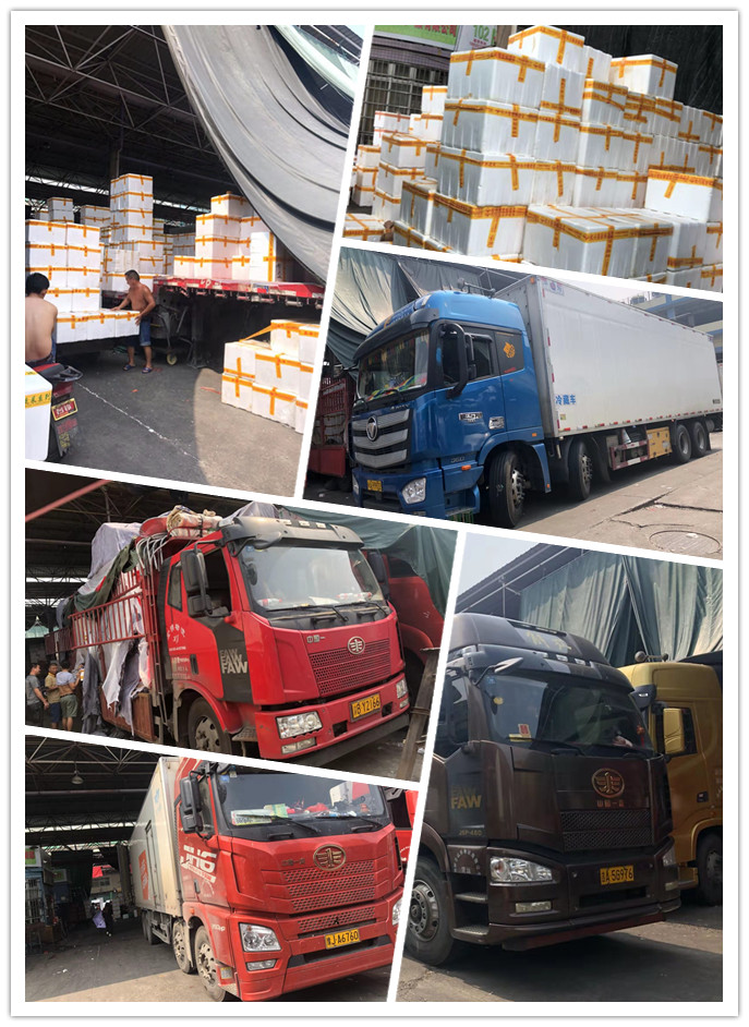 bti体育平台·(中国)官方网站