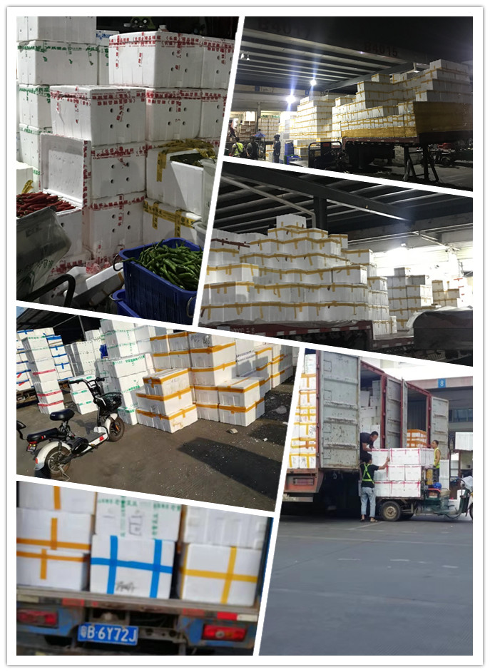 bti体育平台·(中国)官方网站