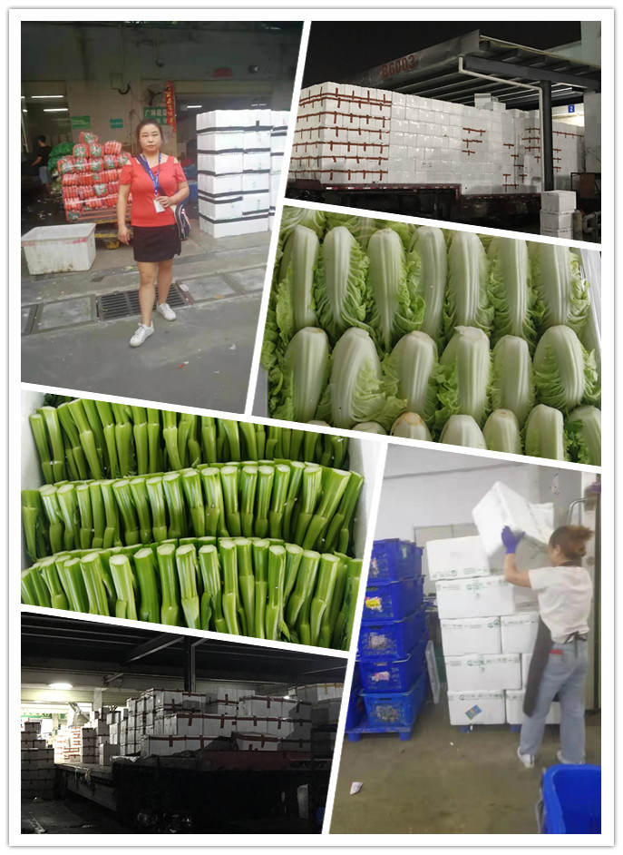 bti体育平台·(中国)官方网站