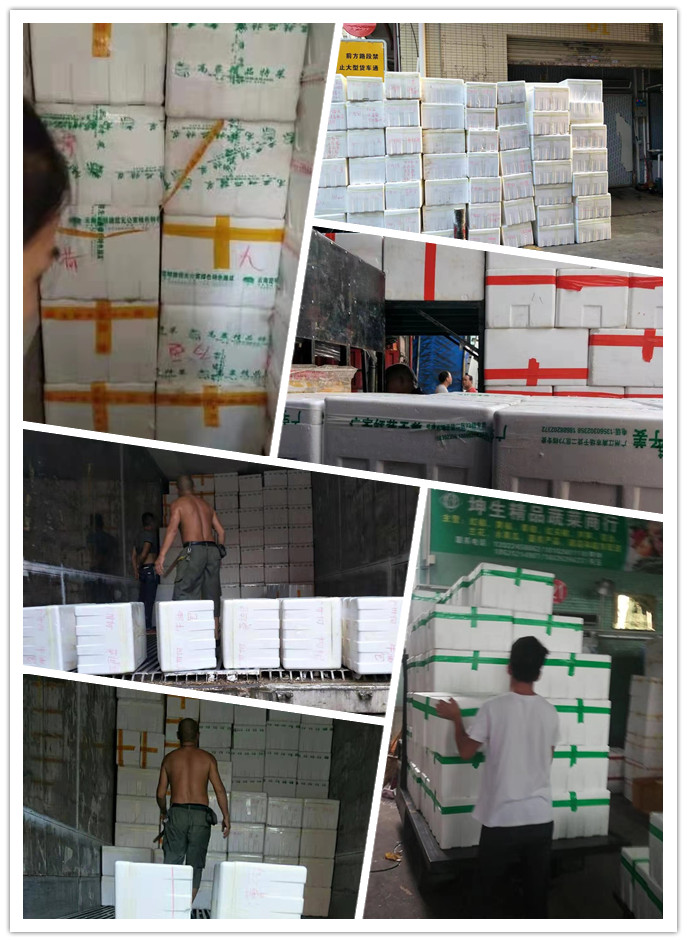 bti体育平台·(中国)官方网站