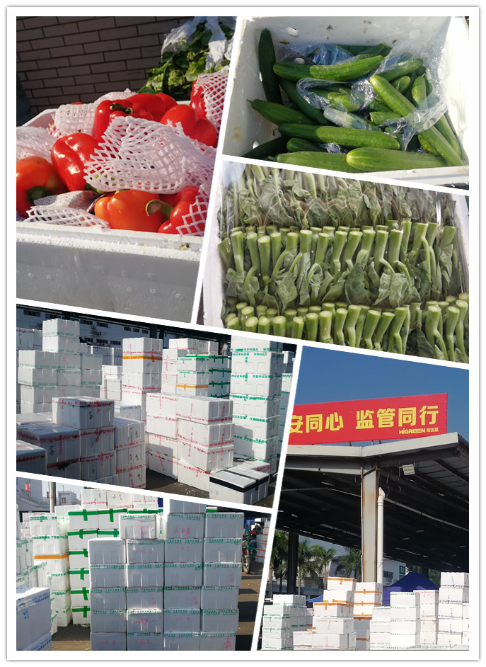 bti体育平台·(中国)官方网站