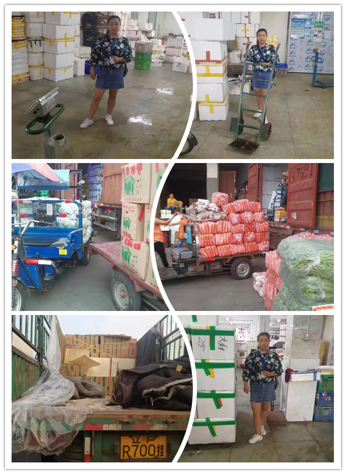 bti体育平台·(中国)官方网站