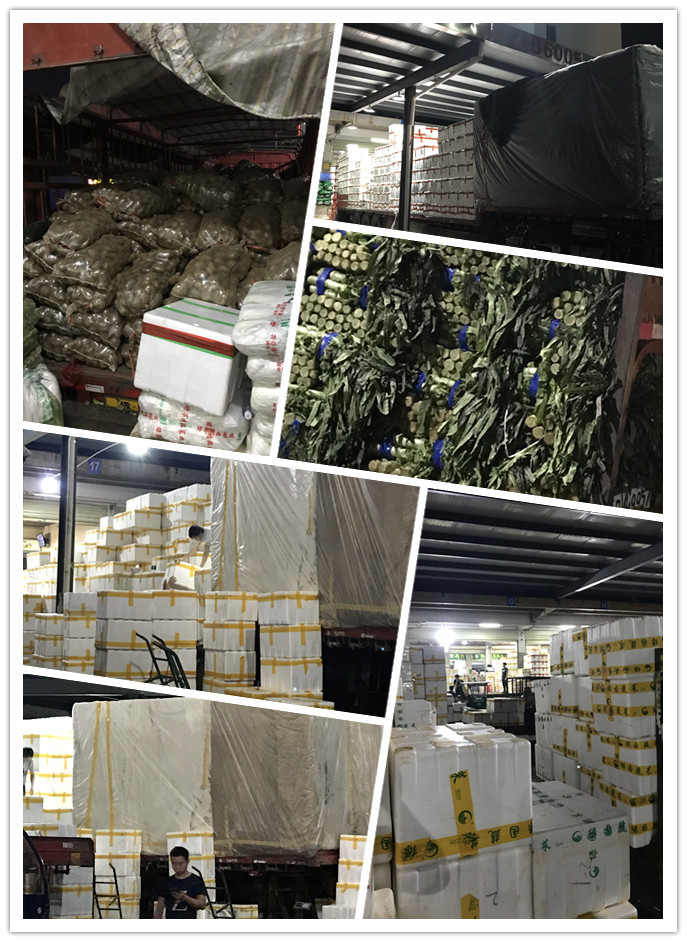 bti体育平台·(中国)官方网站